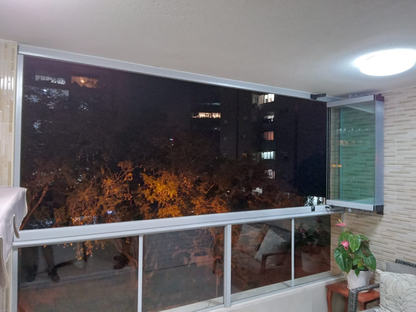 יעקב ראשון לציון